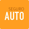 Seguro Auto Seguro Auto